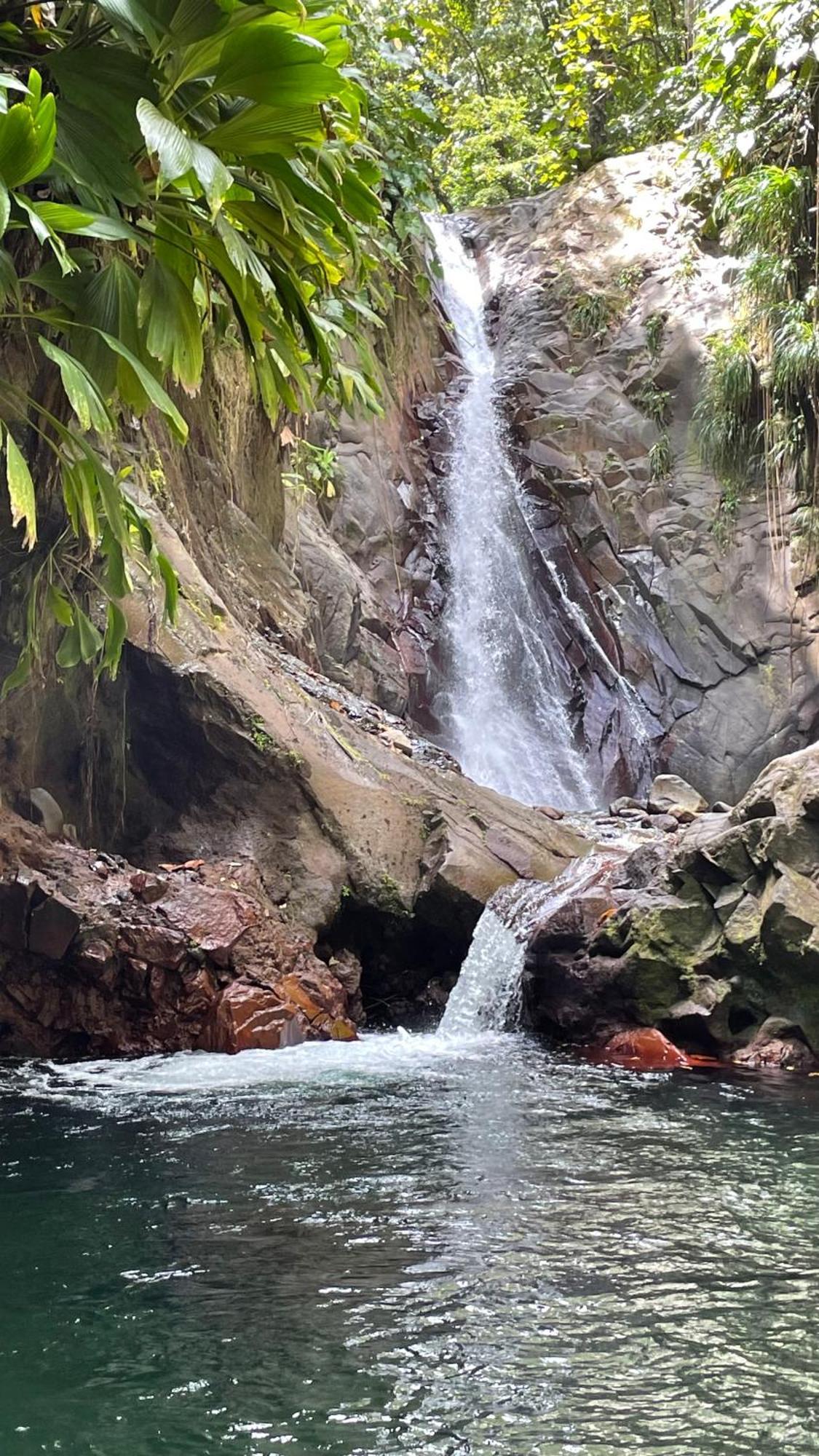 Cauris Lodge Du Marisol Vue Mer Acces Direct Plage Avec Citerne D Eau 哥西尔 外观 照片